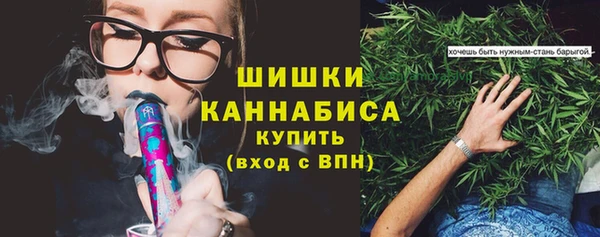 ГАЛЛЮЦИНОГЕННЫЕ ГРИБЫ Майский