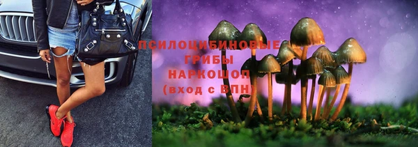 гидра Магадан
