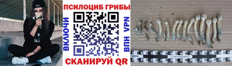 Галлюциногенные грибы MAGIC MUSHROOMS Ленинградская